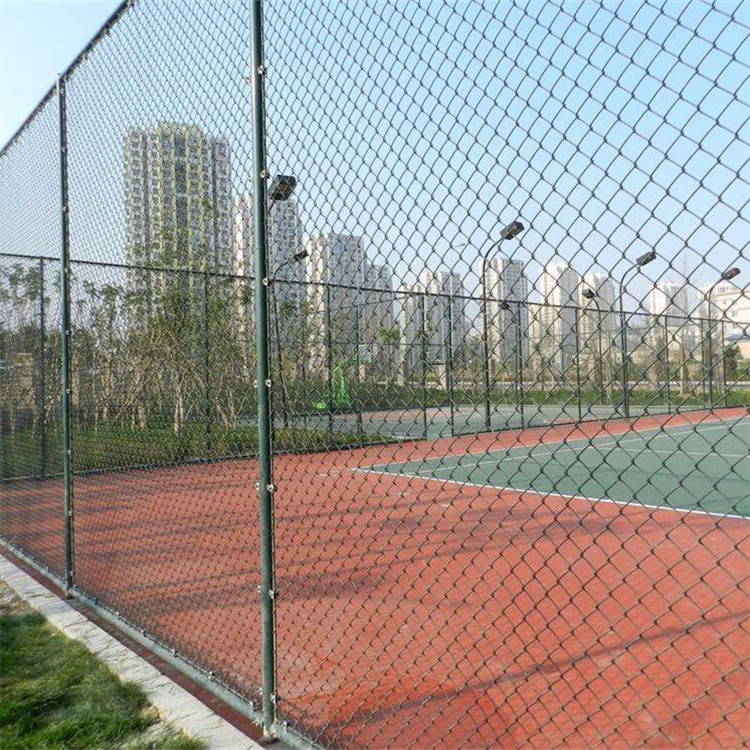球場圍網案例展示圖片2