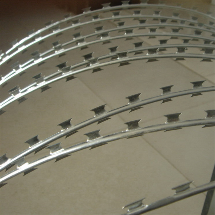 刀刺網案例展示圖片3